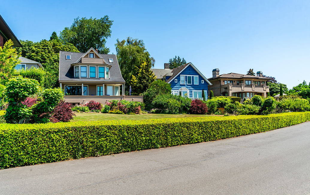 Queen Anne